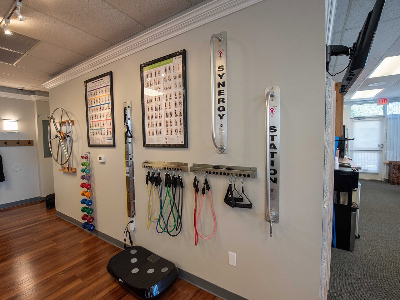 physical therapy equipment