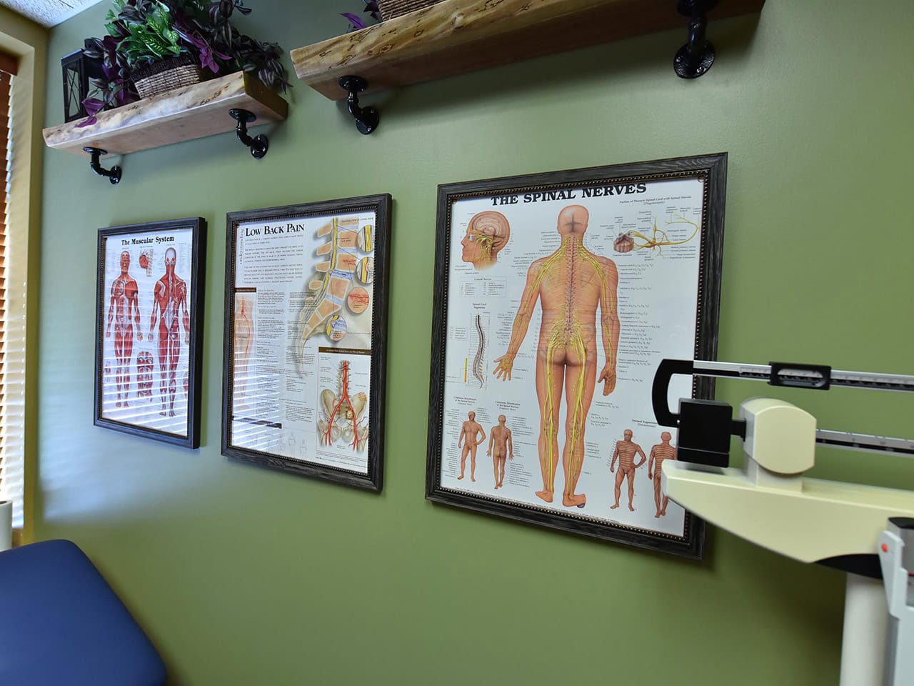 Medical photos on the wall