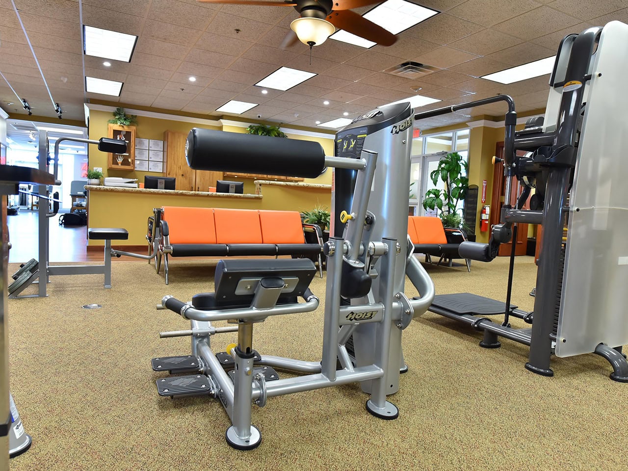 Rehabilitation equipment